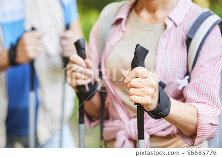 Nordic walking outdoors Nordic walking outdoors 56685776