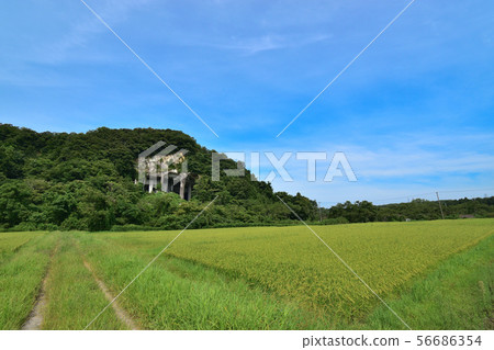 Takigahara Nishiyama Quarry Site, Komatsu City, Ishikawa Prefecture Takigahara Nishiyama Quarry Site, Komatsu City, Ishikawa Prefecture 56686354