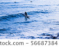 Shonan surfer 56687384
