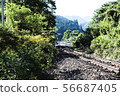 Local line 56687405