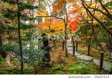 Shoin Nanba Shoin Nanba 56687814