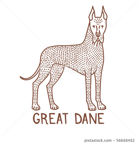 Isolated Great Dane in Hand Drawn Doodle Style 56688482