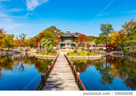 Autumn of Gyeongbokgung Palace in Seoul,Korea 56688898