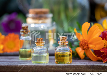 Bottles of essential oil with fresh tagetes patula Bottles of essential oil with fresh tagetes patula 56689240