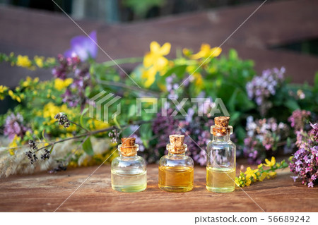Bottles of essential oil with a mix of herbs Bottles of essential oil with a mix of herbs 56689242