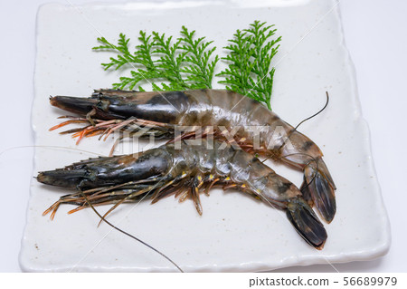 Headed black tiger 56689979