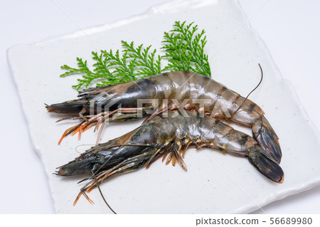 Headed black tiger 56689980