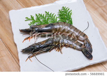 黑頭老虎 黑頭老虎 56689981