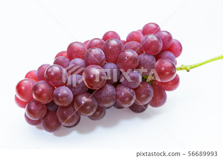 Grape Delaware 56689993