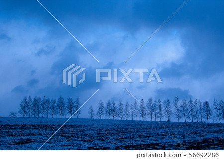 美瑛山在黃昏 56692286