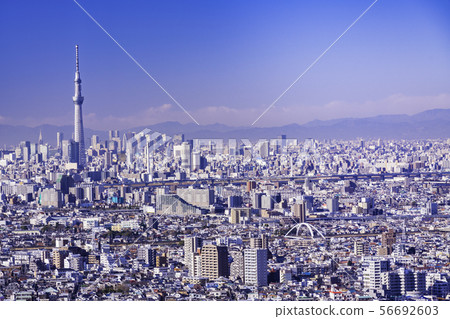 (Tokyo) Tokyo cityscape (Tokyo) Tokyo cityscape 56692603