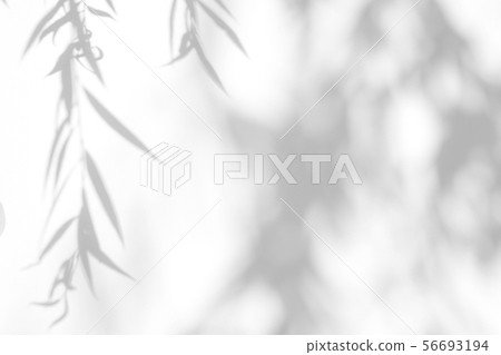 gray shadow of the leaves on a white wall 56693194