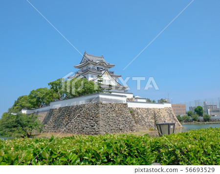 岸和田城堡 56693529