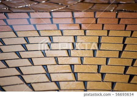 瓷磚地板/濕地板 56693634