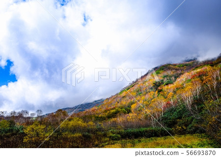 Tsugaike Kogen(秋季) Tsugaike Kogen(秋季) 56693870