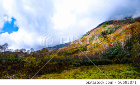 Tsugaike Kogen（秋季） 56693871