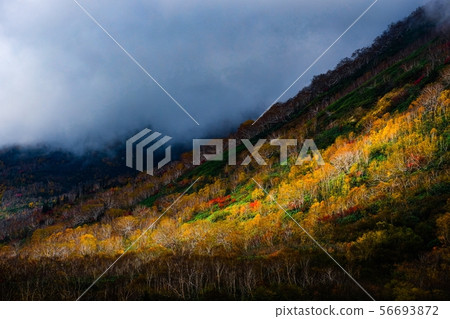 Tsugaike Kogen(秋季) Tsugaike Kogen(秋季) 56693872