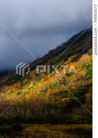 Tsugaike Kogen(秋季) Tsugaike Kogen(秋季) 56693873