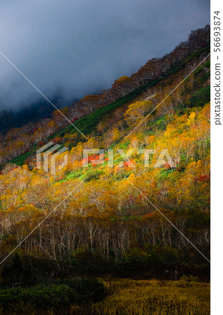 Tsugaike Kogen (Autumn) Tsugaike Kogen (Autumn) 56693874
