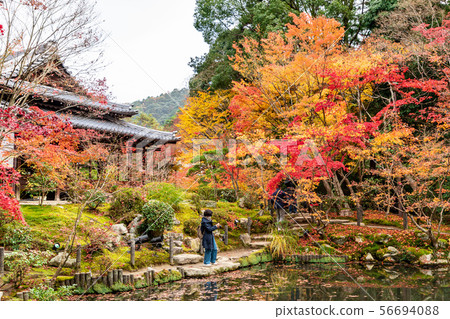 Daishoin的南部花園燈籠 Daishoin的南部花園燈籠 56694088