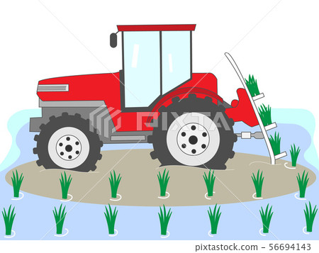 Rice planting work 56694143