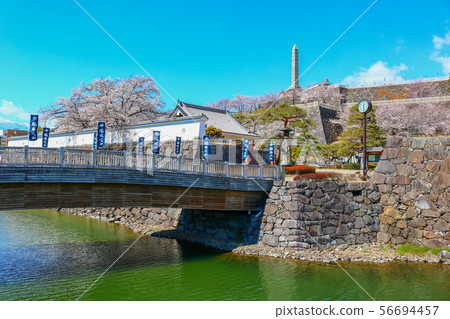 ■ Kofu Castle ■ Maizuru Castle Park ■ Sunny ■ Yamanashi Prefecture ■ Full bloom Sakura 56694457