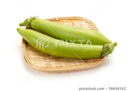 Satsuma White Choshi 56694542