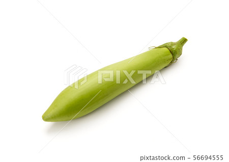 Satsuma White Choshi 56694555