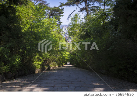 廈門大寧寺001 56694650