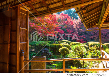 Autumn leaves of Shisen-do Autumn leaves of Shisen-do 56695285