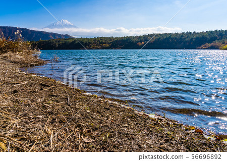 Beautiful landscape of mountain fuji with maple leaf tree around lake 56696892