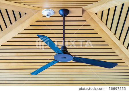 Electric ceiling fan decoration interior Electric ceiling fan decoration interior 56697253