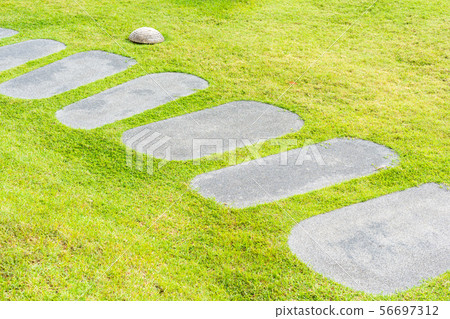 Beautiful stone path walk and run in the garden Beautiful stone path walk and run in the garden 56697312