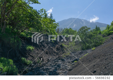 Mt. Fuji Subashiguchi Trail 56698192