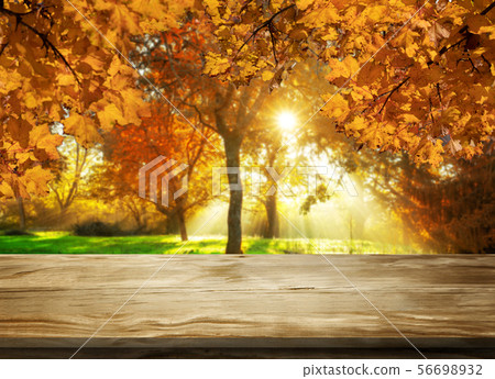 Wood table in autumn landscape with empty space. 56698932