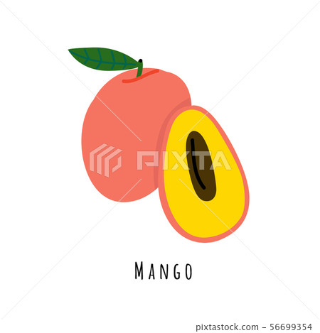 Mango fruit flat vector illustration 56699354