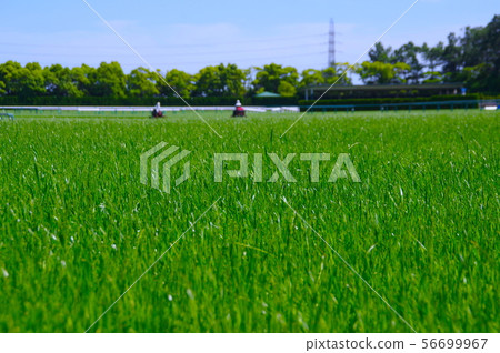 Racetrack turf course 56699967