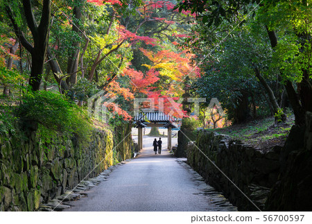 Autumn leaves of Kyoto Koenji Autumn leaves of Kyoto Koenji 56700597
