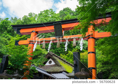 Kyoto Saga Toriimoto Summer 56700628