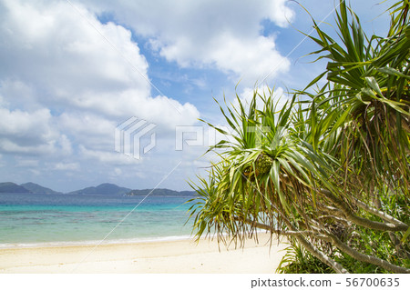 Kurama Landmark Sri Beach 56700635