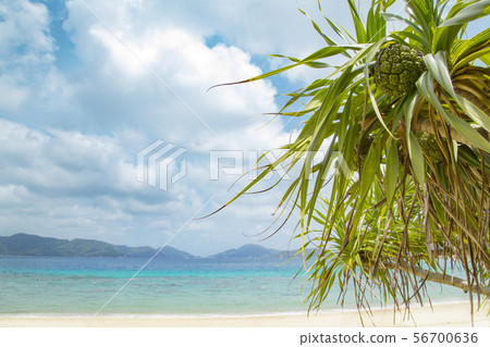 Kurama Landmark Sri Beach 56700636