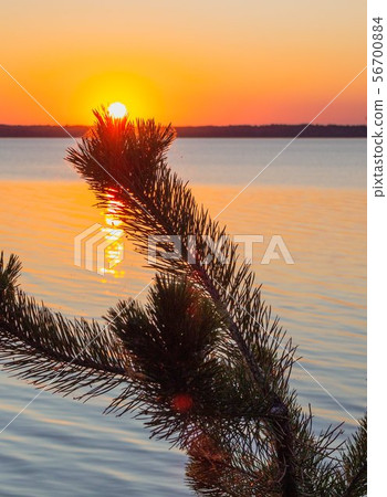 Sunset on the lake Gorkoe-Pereshechnoe, Altay region, Siberia, Russia 56700884