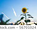 夏日風景 56701024