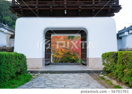 Autumn leaves of Kyoto Koenji Autumn leaves of Kyoto Koenji 56701761