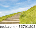樓梯 56701808