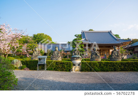 Stone Buddha and cherry blossoms at Gokayama Rengeji Temple in Kyoto 56702278