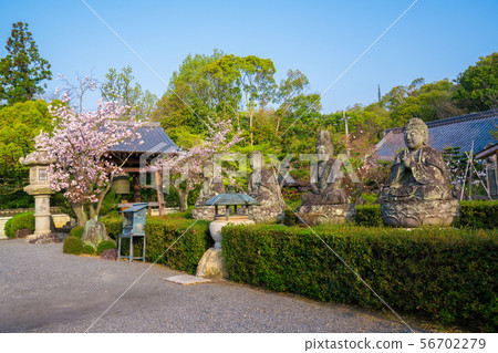 在Gokayama Rengeji寺廟的石菩薩和櫻花在京都 在Gokayama Rengeji寺廟的石菩薩和櫻花在京都 56702279