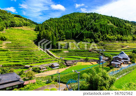 砌體梯田[福岡縣八木市星野村] 56702562