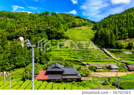 砌體梯田[福岡縣八木市星野村] 56702563
