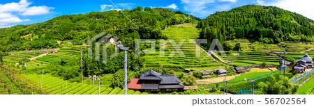 砌體梯田全景[福岡縣八木市星野村] 56702564